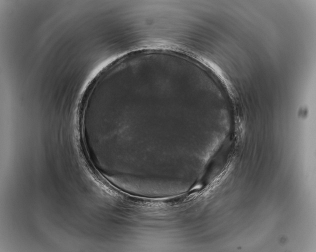 X0000098011120200804181127