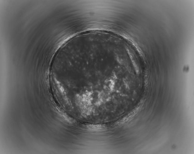 X0000098011121200804181127