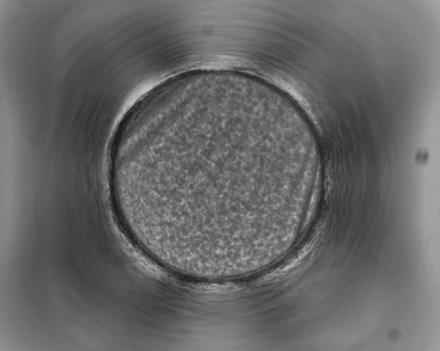 X0000098011122200804181127