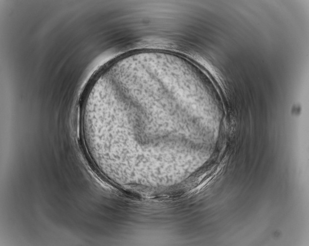 X0000098011123200804181127