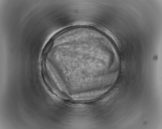 X0000098011124200804181127