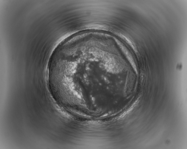 X0000098011125200804181127