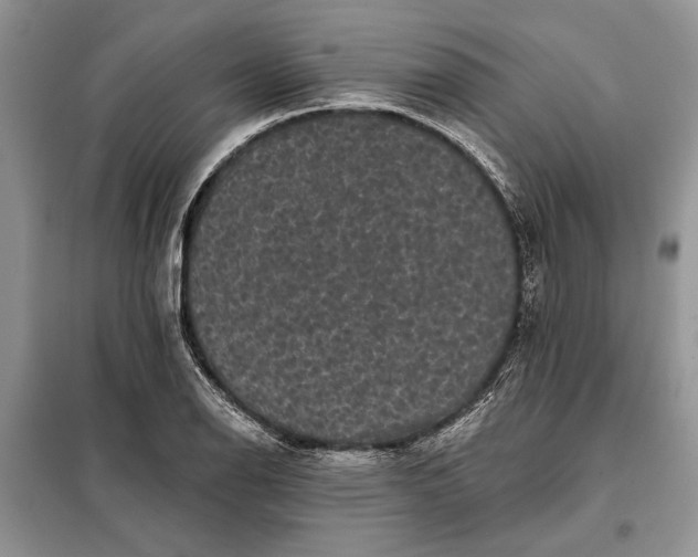 X0000098011126200804181127