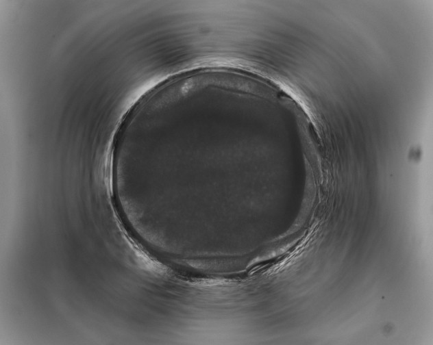 X0000098011127200804181127