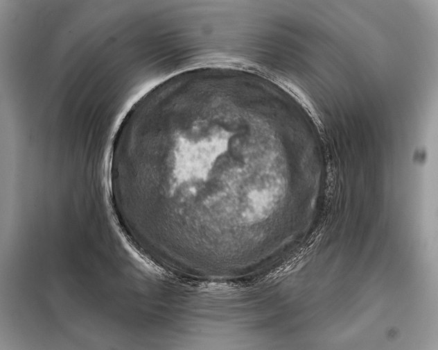 X0000098011128200804181127