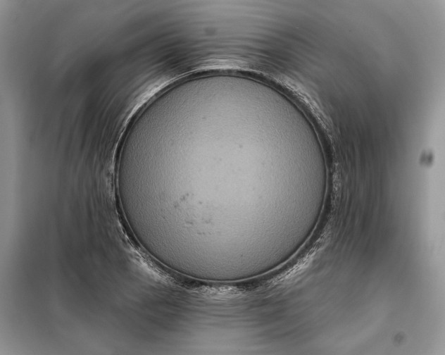 X0000098011129200804181128