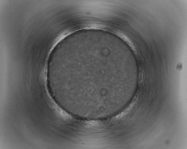 X0000098011130200804181128