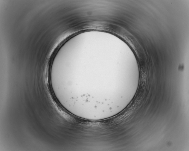 X0000098011131200804181128