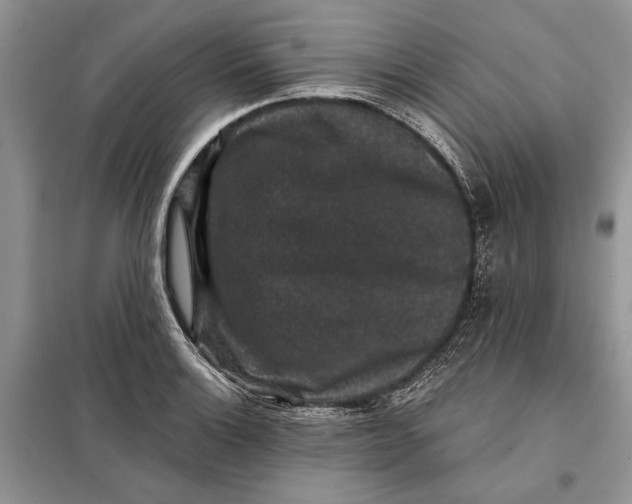 X0000098011132200804181128