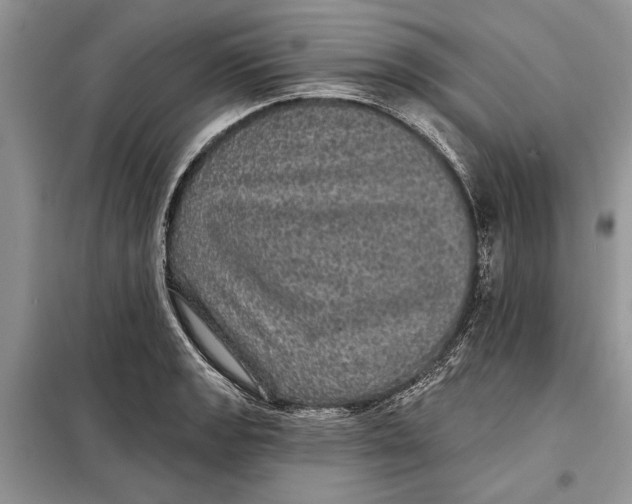 X0000098011133200804181128