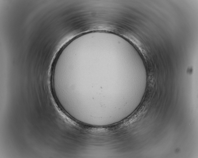 X0000098011135200804181128