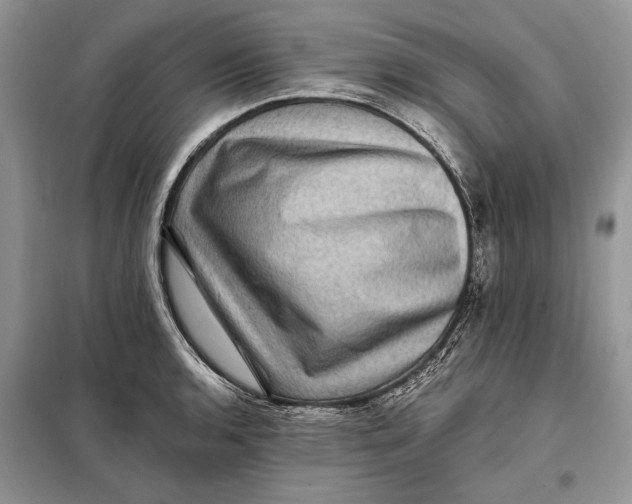 X0000098011136200804181128