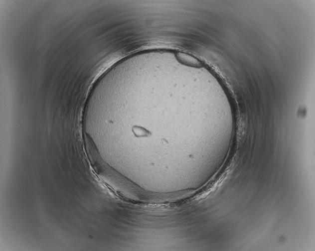 X0000098011137200804181128