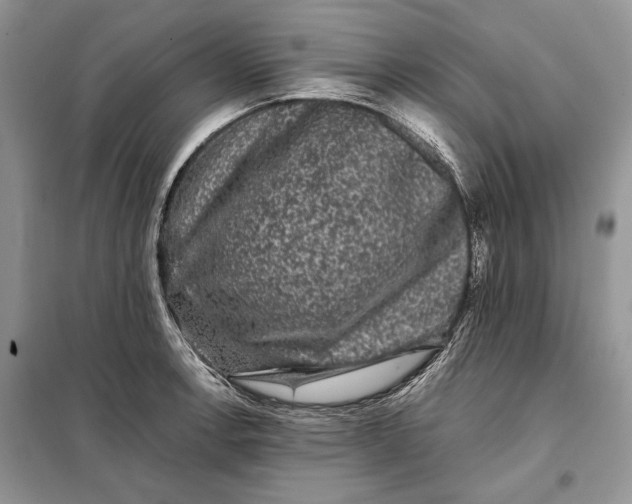 X0000098011138200804181128