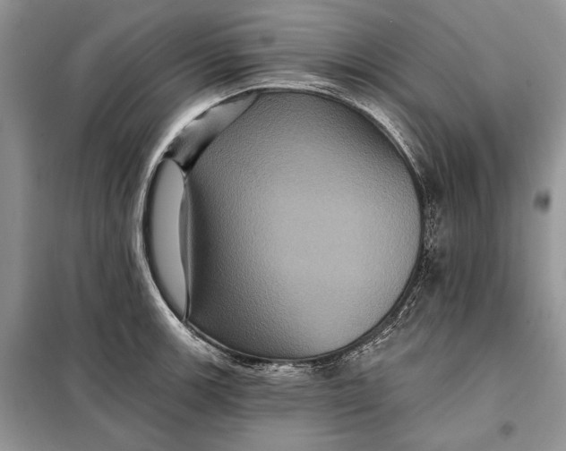 X0000098011139200804181128