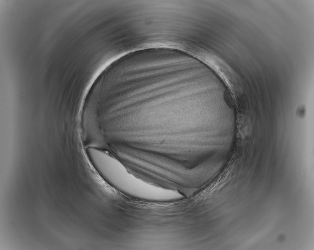 X0000098011140200804181128