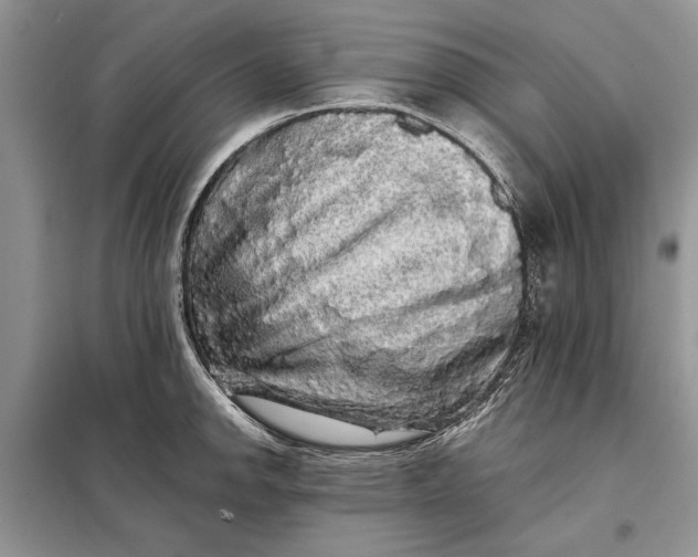 X0000098011142200804181128