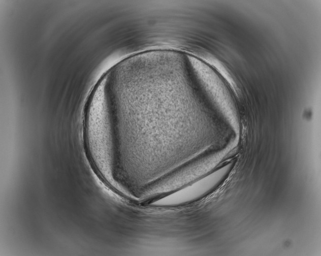 X0000098011143200804181128