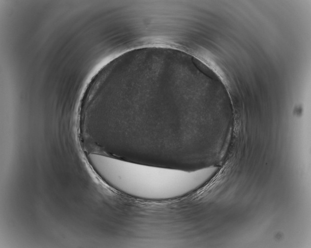 X0000098011144200804181128