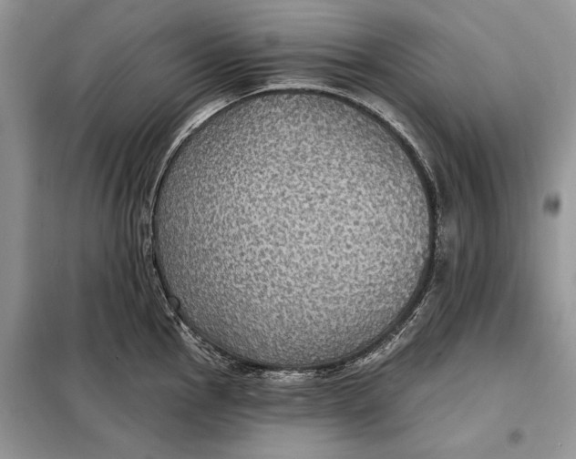 X0000098011145200804181128