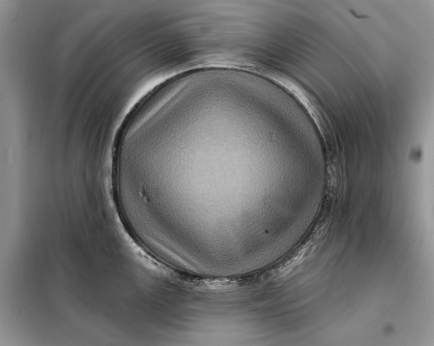 X0000098011147200804181128