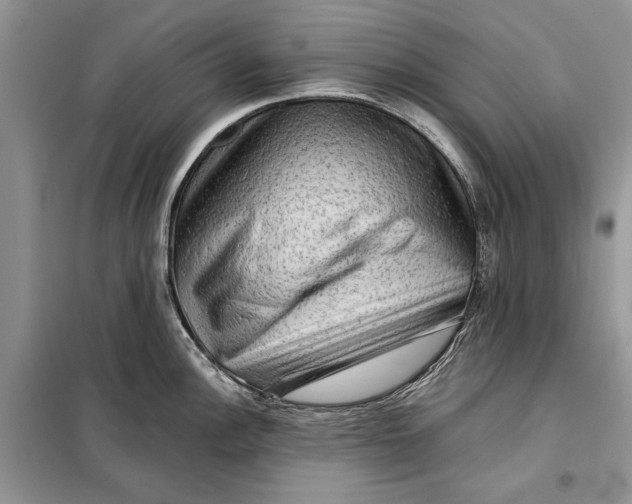 X0000098011148200804181128