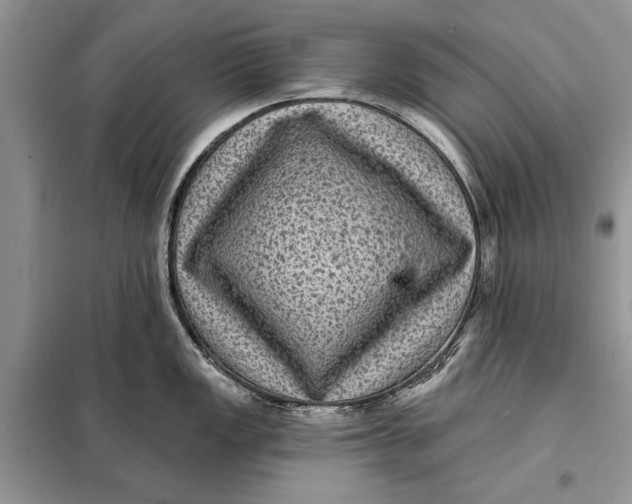 X0000098011149200804181128