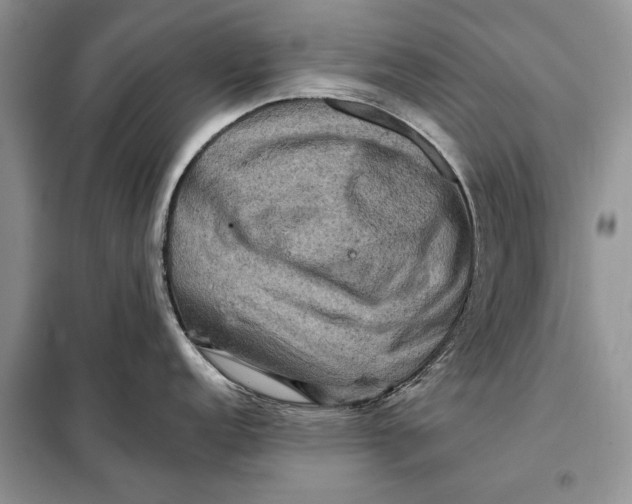 X0000098011152200804181128