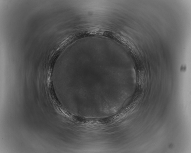 X0000098011154200804181127