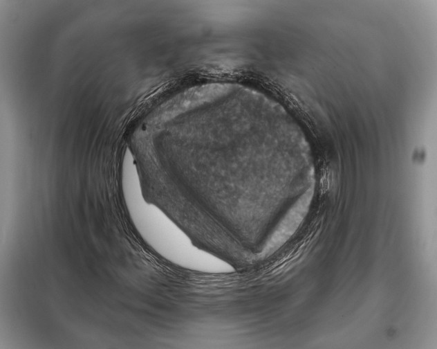 X0000098011156200804181127