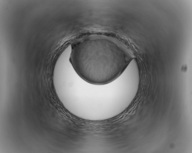 X0000098011157200804181127