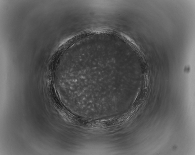 X0000098011158200804181127