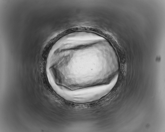 X0000098011159200804181127