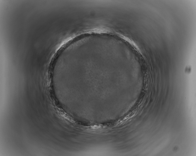 X0000098011160200804181127