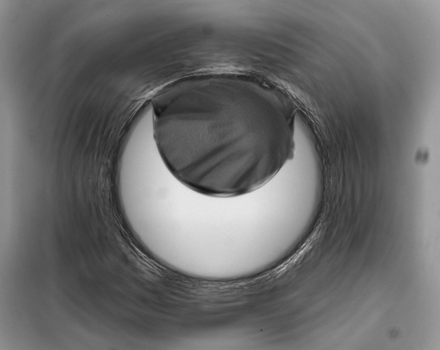 X0000098011161200804181127