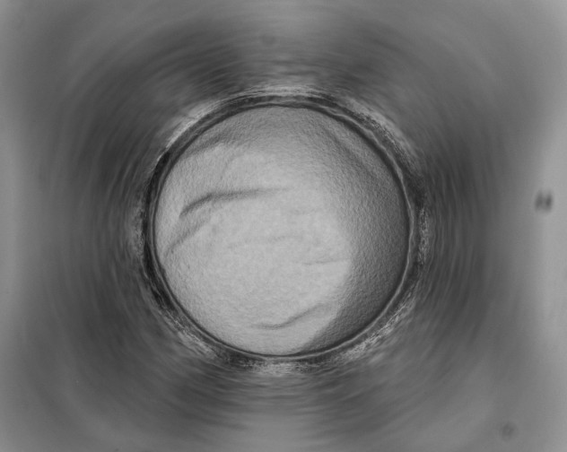 X0000098011162200804181127