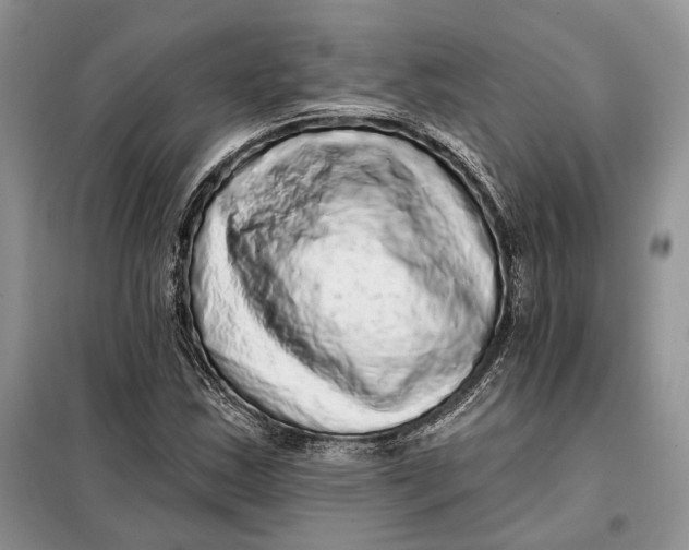 X0000098011163200804181127