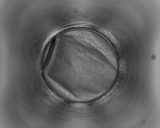 X0000098011164200804181127