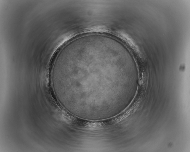 X0000098011165200804181127