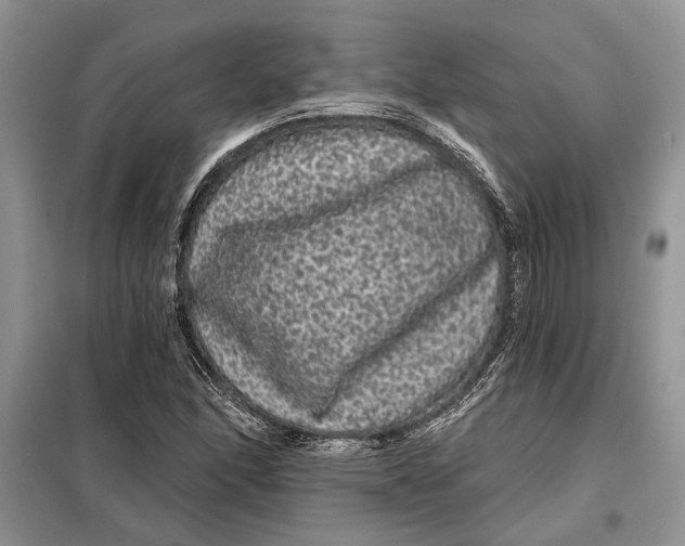 X0000098011166200804181127