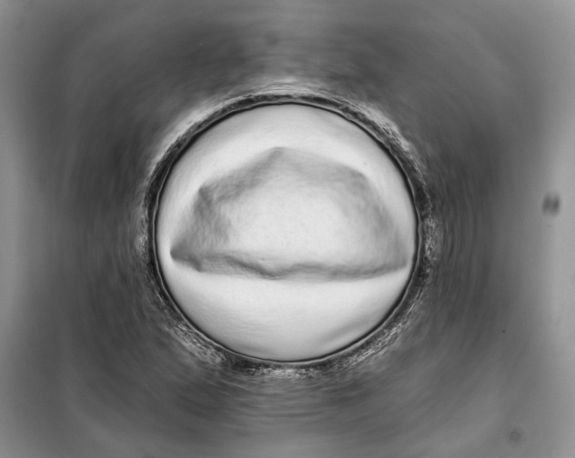 X0000098011167200804181127