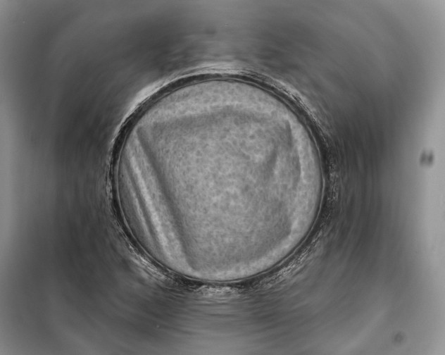 X0000098011168200804181127