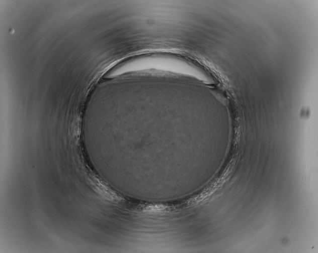 X0000098011169200804181127