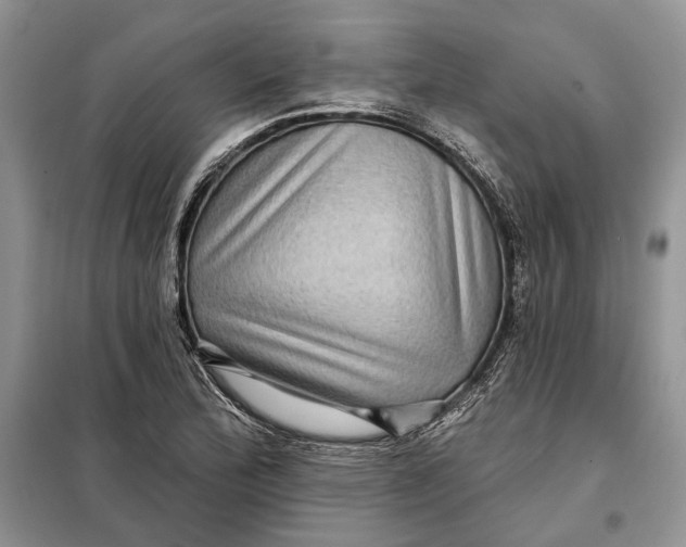 X0000098011172200804181127