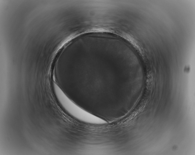 X0000098011173200804181127