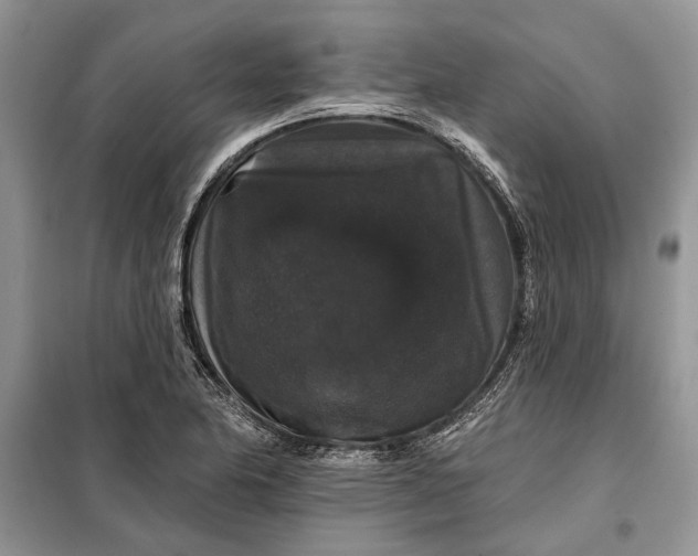 X0000098011174200804181127