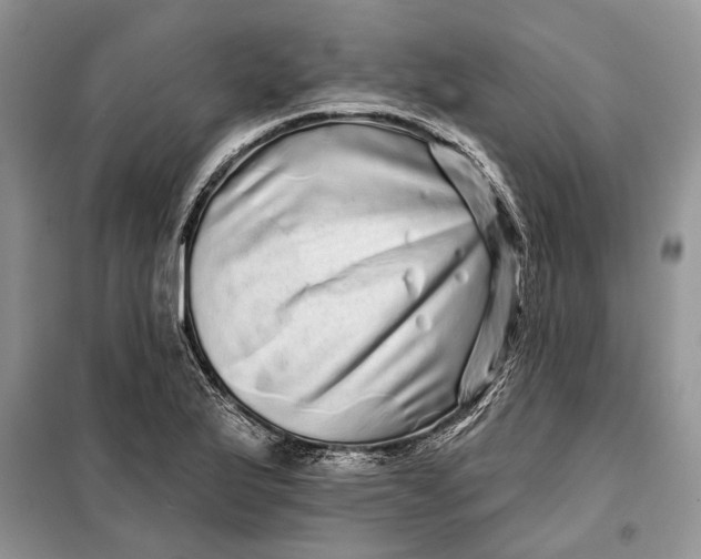 X0000098011175200804181127