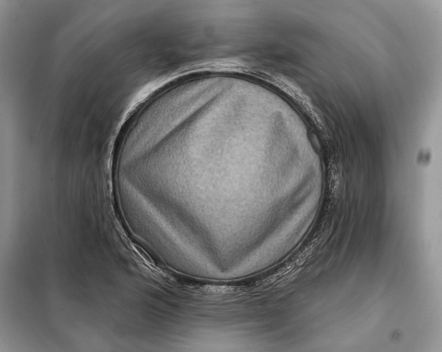 X0000098011176200804181127