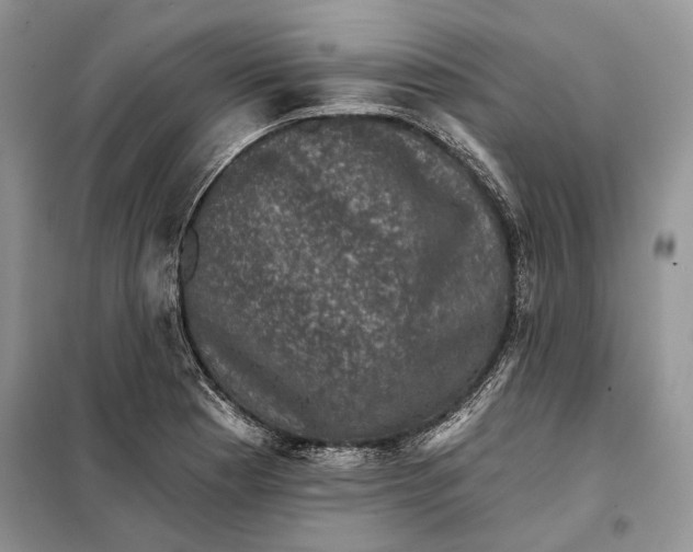 X0000098011177200804181127