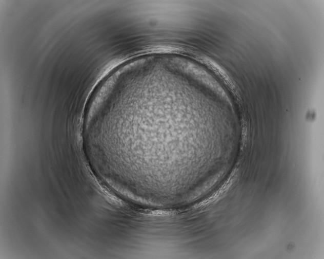 X0000098011178200804181127